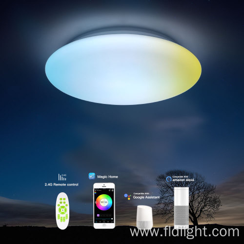 WiFi Smart Flush Mount 24W led Ceiling Light